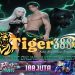 TIGERBET388 Bandar Slot Jackpot Resmi Anti Rungkad Hari Ini