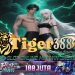 TIGERBET388 Slot Online Maxwin Jackpot Setiap Putaran