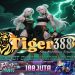 TIGERBET388 Slot Maxwin Bonus Mingguan dan Cashback